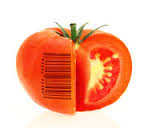 barcode tomato