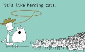 control of external sources - herding cats