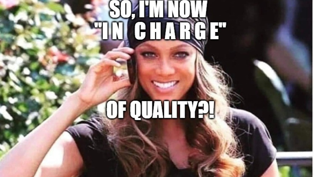 How QUALITY PROFESSIONALS manage influence v authority